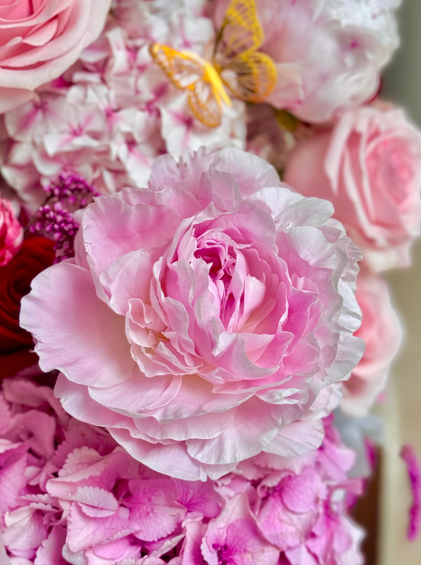 Rosemary- Pink & Red Dutch Peony & Ecuadorian Rose