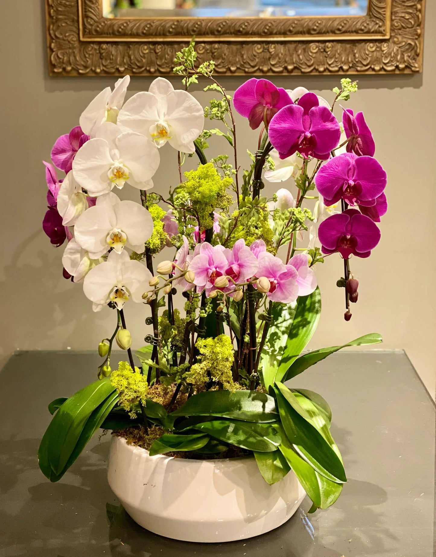 Phalaenopsis Orchids (4 Big Stems & 2 Small)