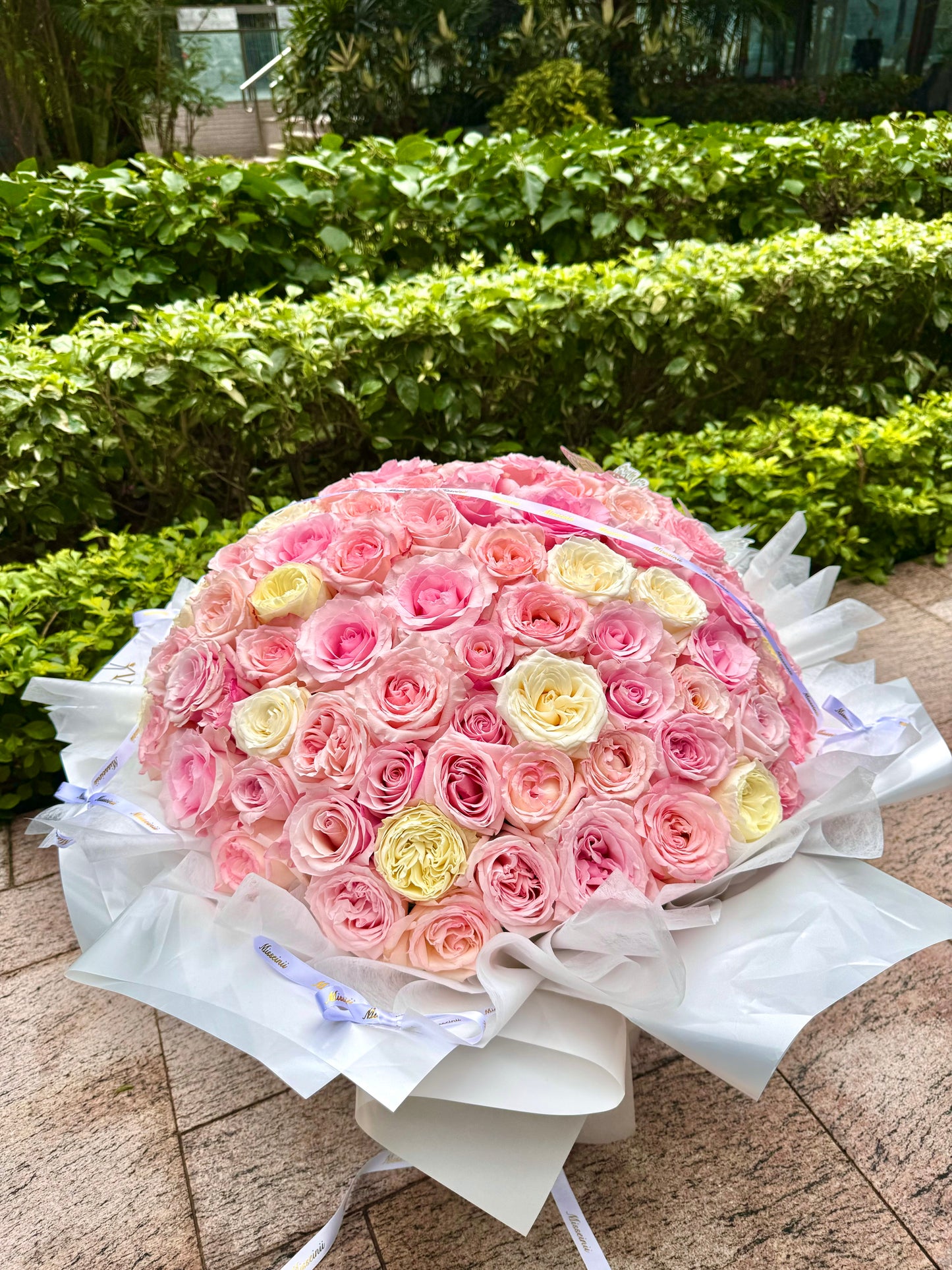 99 Pink Ecuadorian Roses