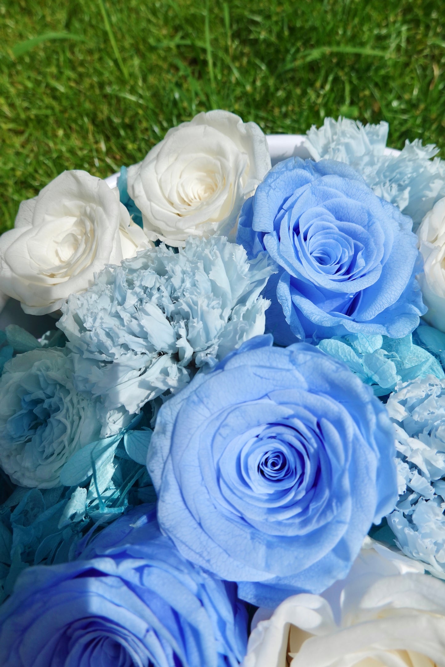 Preserved Rose Flower Box with Balloon - Blue